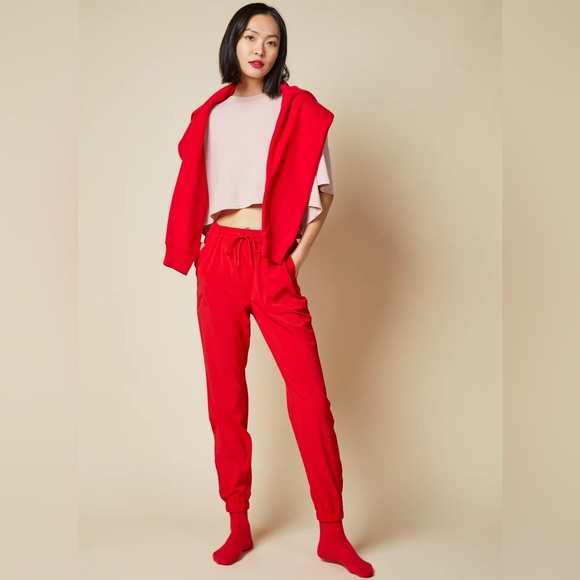 Aritzia Pants - Aritzia TNA Speed Jogger